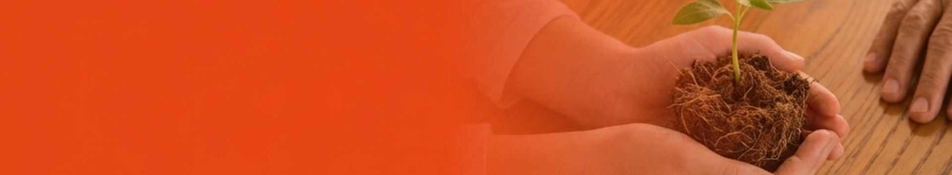page Header bg